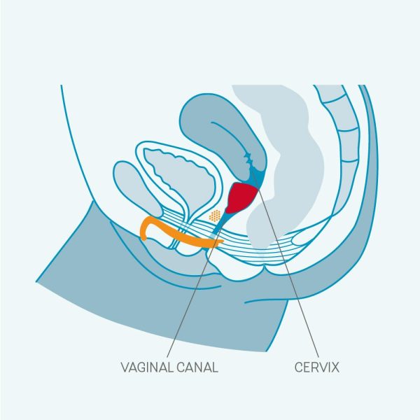 FUN CUP - Image 13
