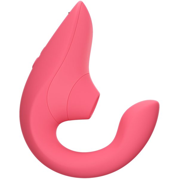Blend - Vibrant Rose - Image 2